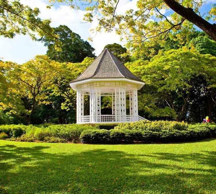 Singapore Botanic Gardens: The Ultimate Guide for First-timers! (History, 11 Attractions, and Map)