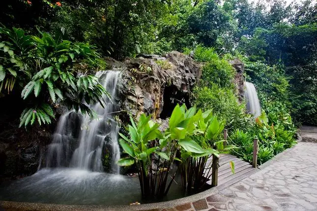 Waterfalls in Ginger Garden at Singapore Botanic Gardens