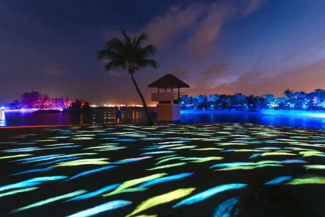 Magical Shores Light Show at Siloso Beach