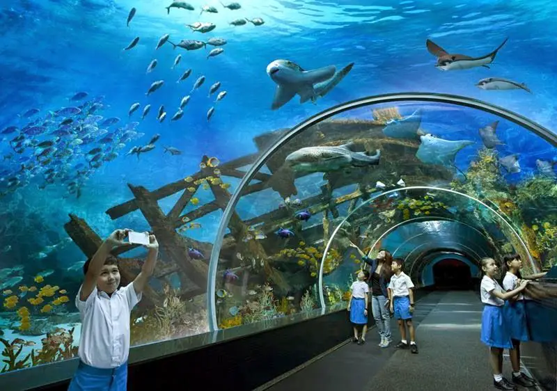 World's largest aquarium, SEA Aquarium