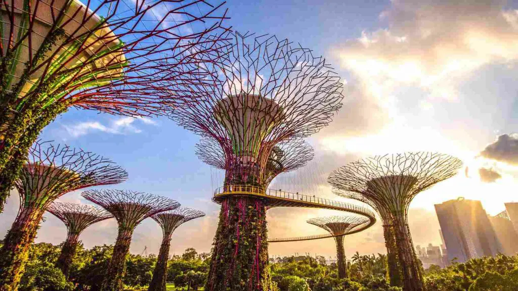 Supertree Grove at Gardens by the Bay, Singapore
