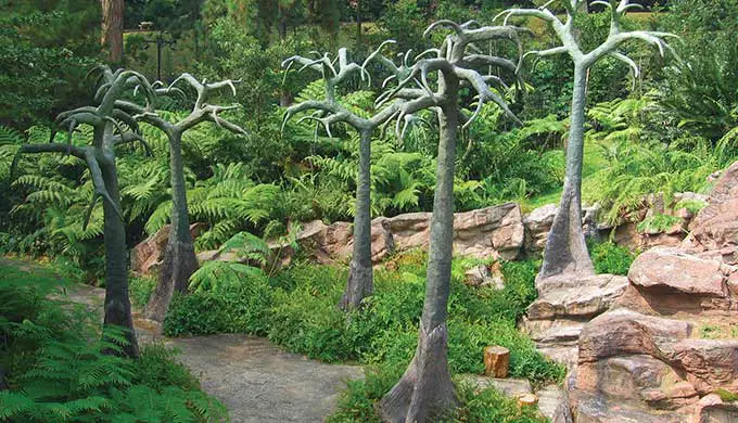 Trees in Evolution Garden at Singapore Botanic Gardens