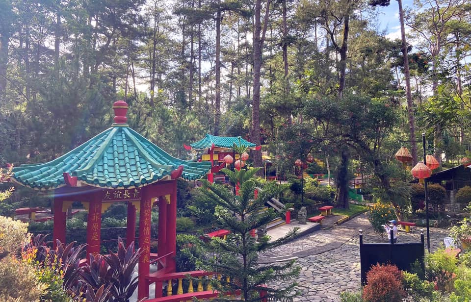 The beautiful plants, flowers, and structures at the Baguio Botanical Garden
