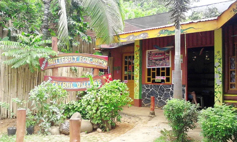 Main office of the Butterfly Eco Garden and Tribal Village,
