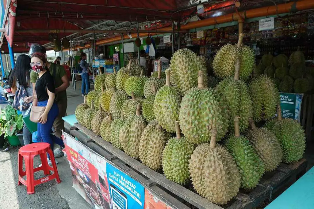 Big Durians on display in Davao