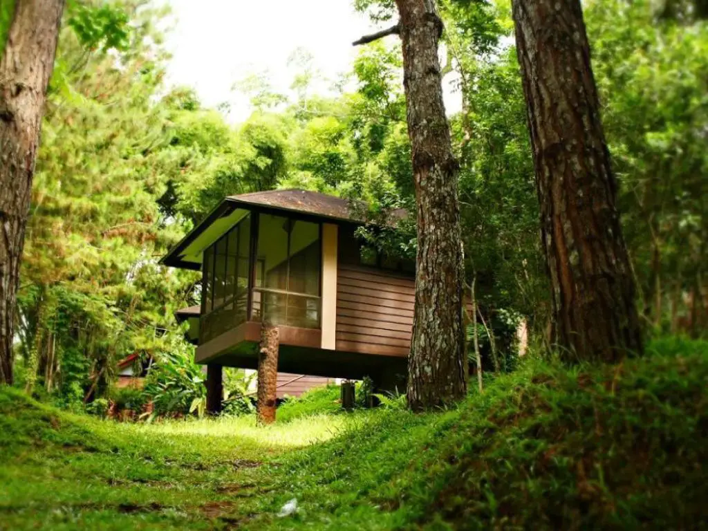 A cabin surrounded by nature at Eden Nature Park and Resort