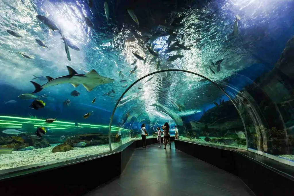 Shark-filled aquariums at the Manila Ocean Park