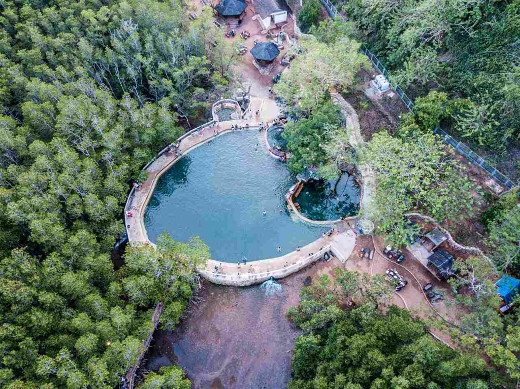 A full view of Maquinit Hot Springs surrounded by lush trees