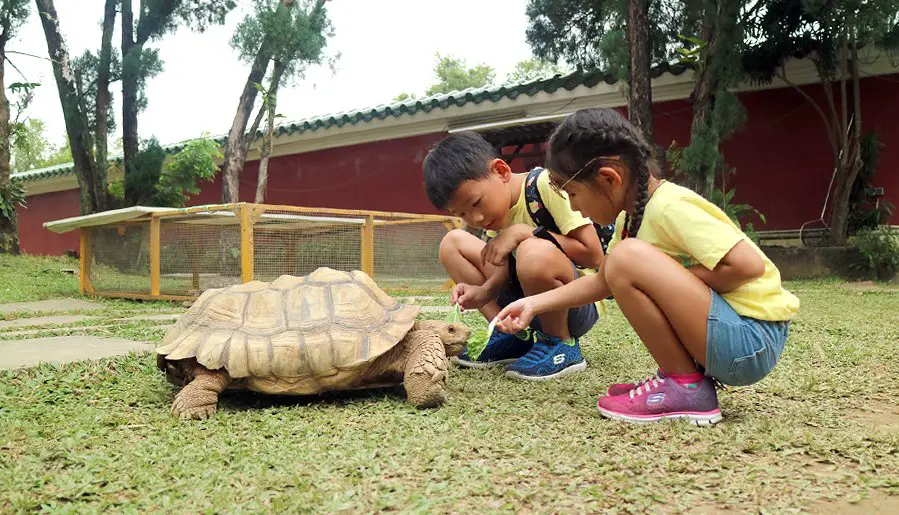 10 Animal Farms in Singapore For Families to Visit | Budget Itinerary