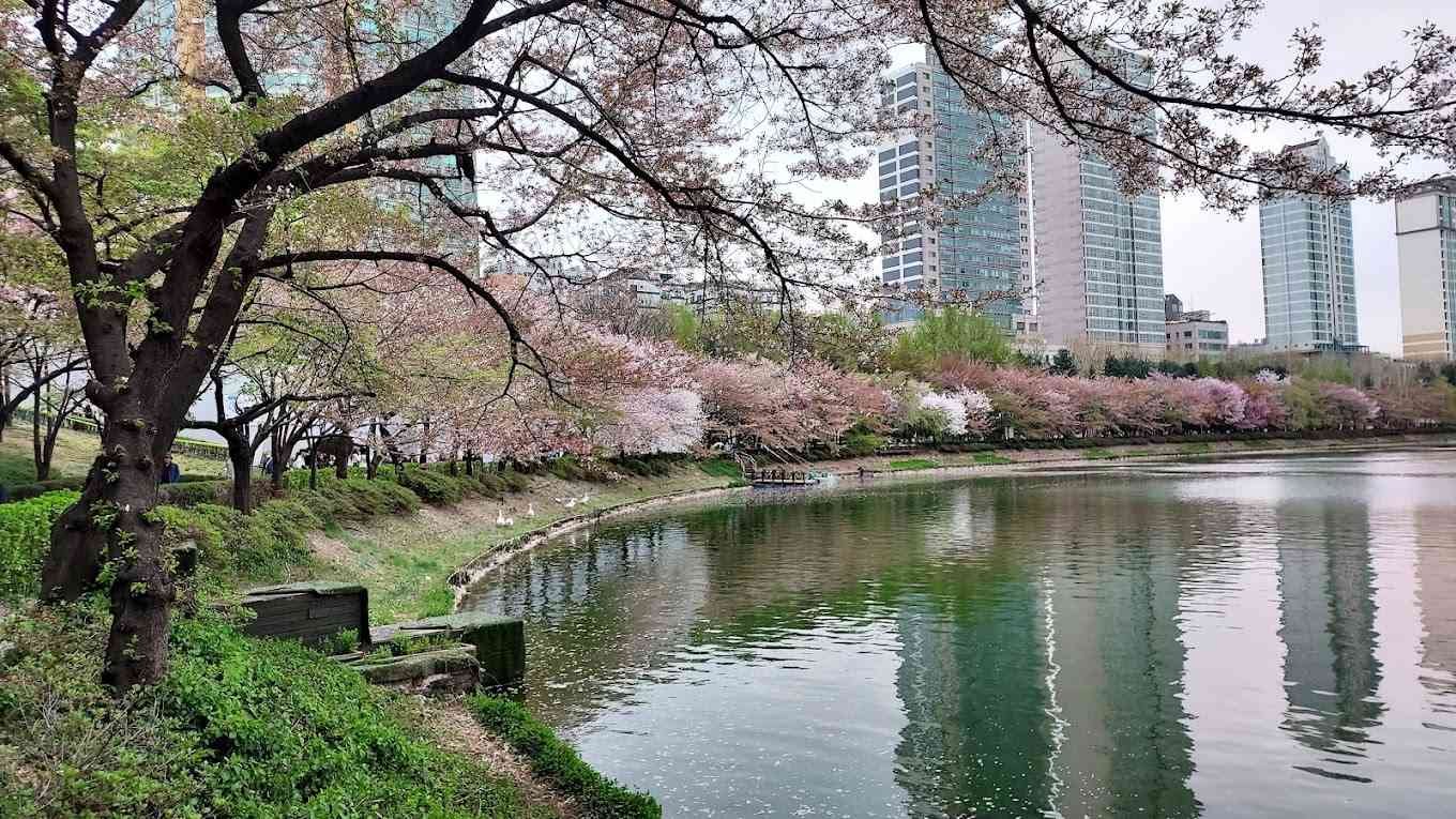 Seokchon Lake