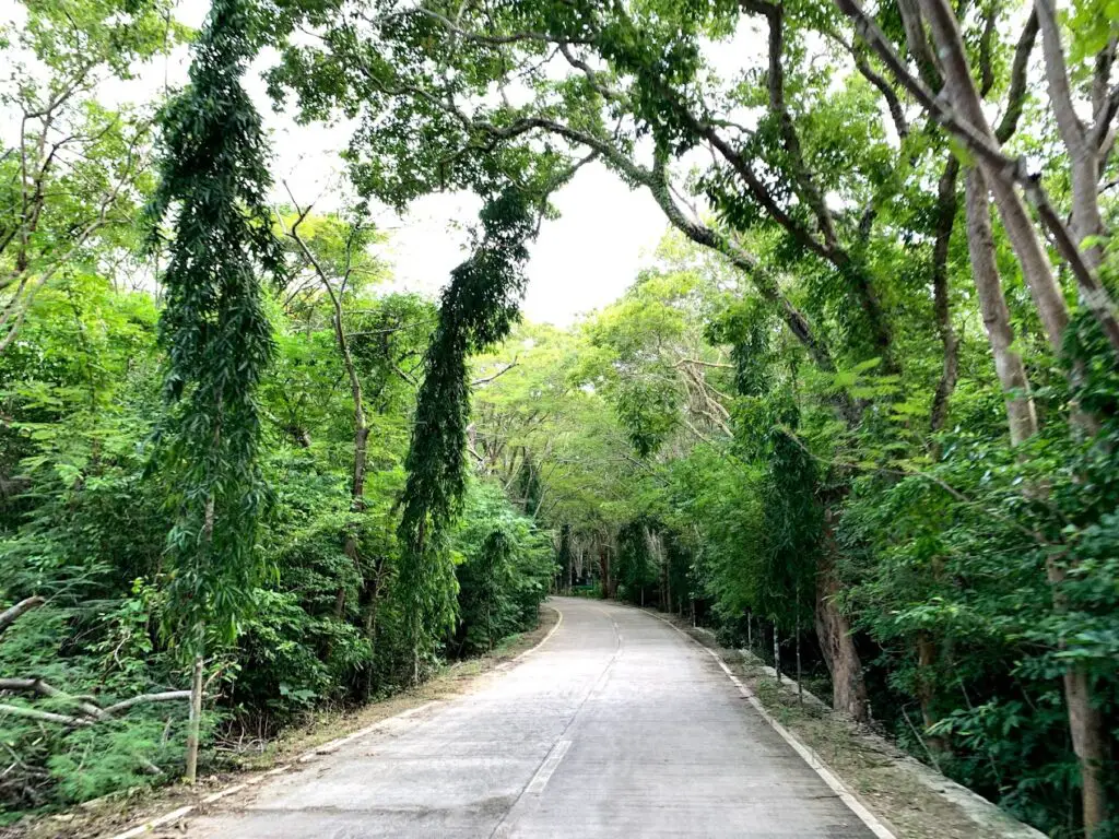 Salagdoong Forest Reserve