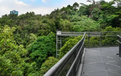 15 Best Parks and Nature Attractions in Singapore
